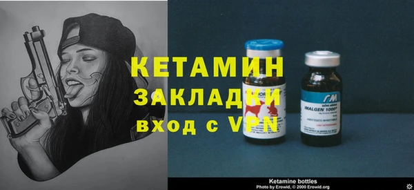 гидра Елабуга