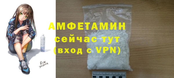 гидра Елабуга