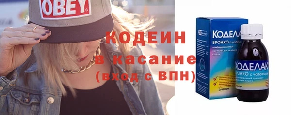 гидра Елабуга