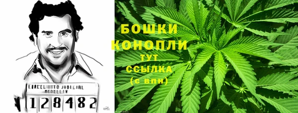 прущий лед Ельня