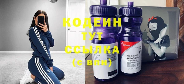 прущий лед Ельня